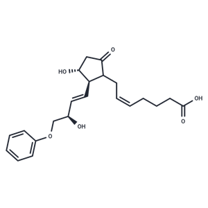 化合物 16-phenoxy tetranor Prostaglandin E2|T84588|TargetMol