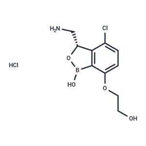 Ganfeborole 盐酸盐,Ganfeborole HCl