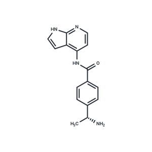 化合物 Y-33075|T13384|TargetMol