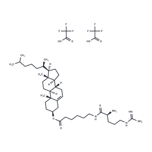 Cho-Arg (trifluoroacetate salt)|T36350|TargetMol