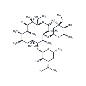 化合物 Erythromycylamine|T64443|TargetMol