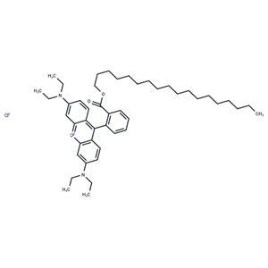 十八基罗丹明B氯化物,Octadecyl Rhodamine B chloride