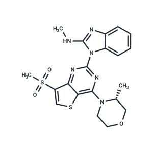 化合物 ATR-IN-23|T78959|TargetMol