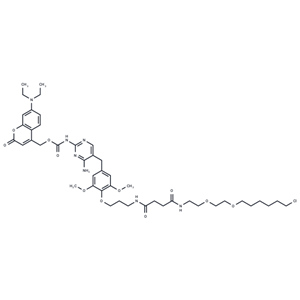 化合物 Coumarin-TMP-Halo|T31017|TargetMol