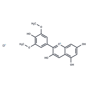 氯化锦葵色素|TN1910|TargetMol