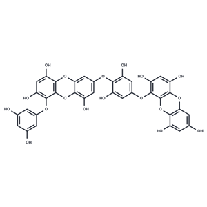 二鹅掌菜酚,Dieckol