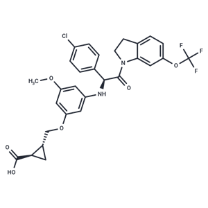 DENV-IN-2|T39783|TargetMol