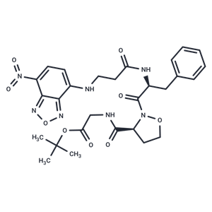 化合物 S 4404|T70676|TargetMol