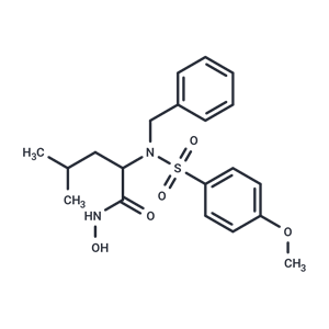 化合物 MMP-3 Inhibitor VIII|T84419|TargetMol