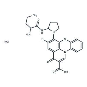 化合物 A 74932|T26441|TargetMol