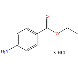 化合物 Benzocaine xHCl,Benzocaine xHCl(94-09-7(free base))
