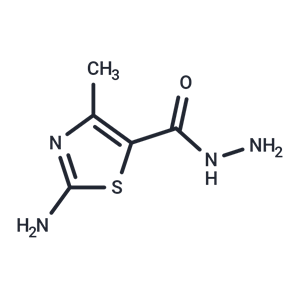 化合物 2-amino-4-methyl-1,3-thiazole-5-carbohydrazide|T50016|TargetMol