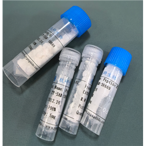 人体免疫缺损病毒肽HIV-gp41-Fragment,HIV-gp41-Fragment