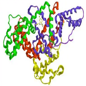 Abietic Acid-OVA Conjugate，松香酸-鸡卵清白蛋白偶联物