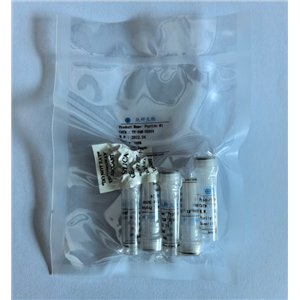 索马鲁肽侧链NHS活化酯,Semaglutide side chain