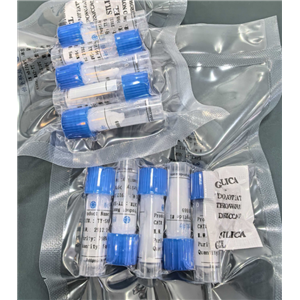 索马鲁肽侧链NHS活化酯,Semaglutide side chain