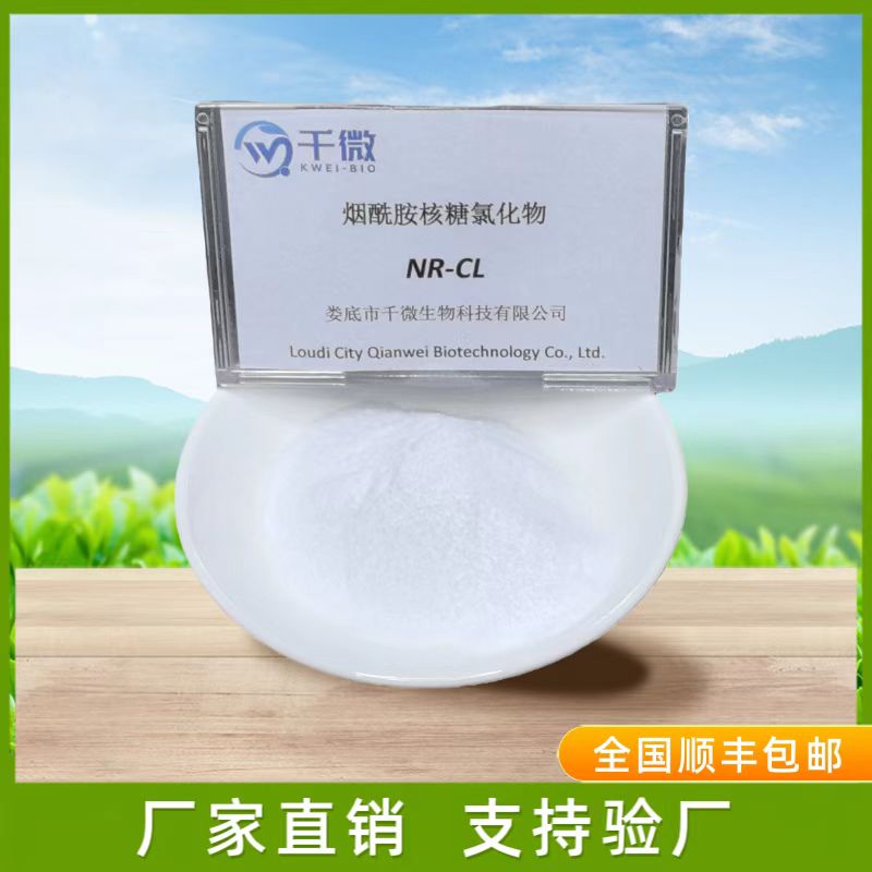 烟酰胺核苷氯化物（NR）