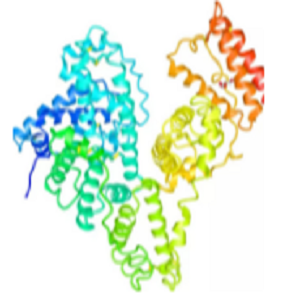 青蒿素-牛血清白蛋白偶联物,Artemisinin-BSA Conjugate