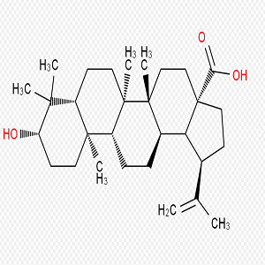 桦木酸-过氧化物酶标记物,Betulinic Acid-HRP