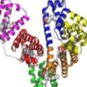 桦木酸-鸡卵清白蛋白偶联物,Betulinic Acid-OVA Conjugate