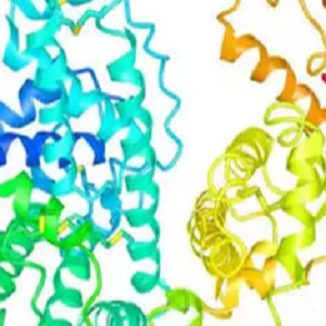 桦木酸-牛血清白蛋白偶联物,Betulinic Acid-BSA Conjugate