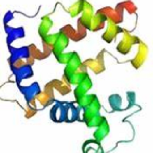 七叶皂苷-鸡卵清白蛋白偶联物,Aescin-OVA Conjugate