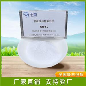 烟酰胺核苷氯化物（NR）