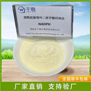 还原型烟酰胺腺嘌呤二核苷酸磷酸盐（NADPH）