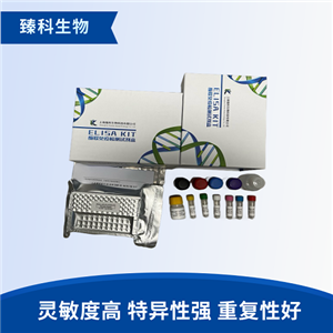 人免疫球蛋白G(IgG）elisa试剂盒