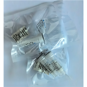 索玛鲁肽侧链；索马鲁肽杂质11,tBuO-Ste-E(AEEA-AEEA-OH)OtBu