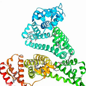 OA-BSA，Oleanolic Acid-BSA Conjugate，齐墩果酸-牛血清白蛋白偶联物