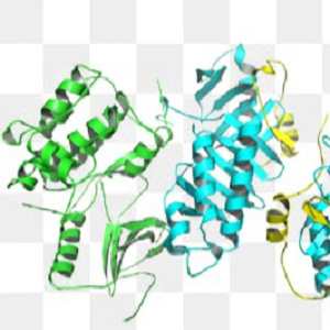 马兜铃酸-牛血清白蛋白偶联物,Aristolochic Acid-BSA Conjugate