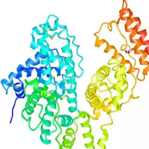 LA-BSA，Liquidambaric Acid-BSA Conjugate，路路通酸-牛血清白蛋白偶联物