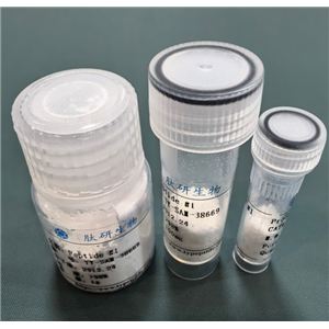 棕榈酰三肽-5,Palmitoyl Tripeptide-5