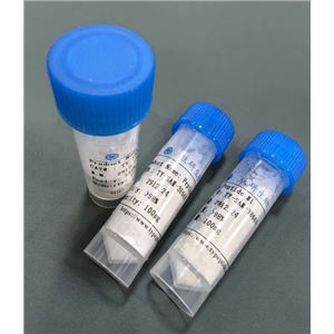 棕榈酰三肽-5,Palmitoyl Tripeptide-5