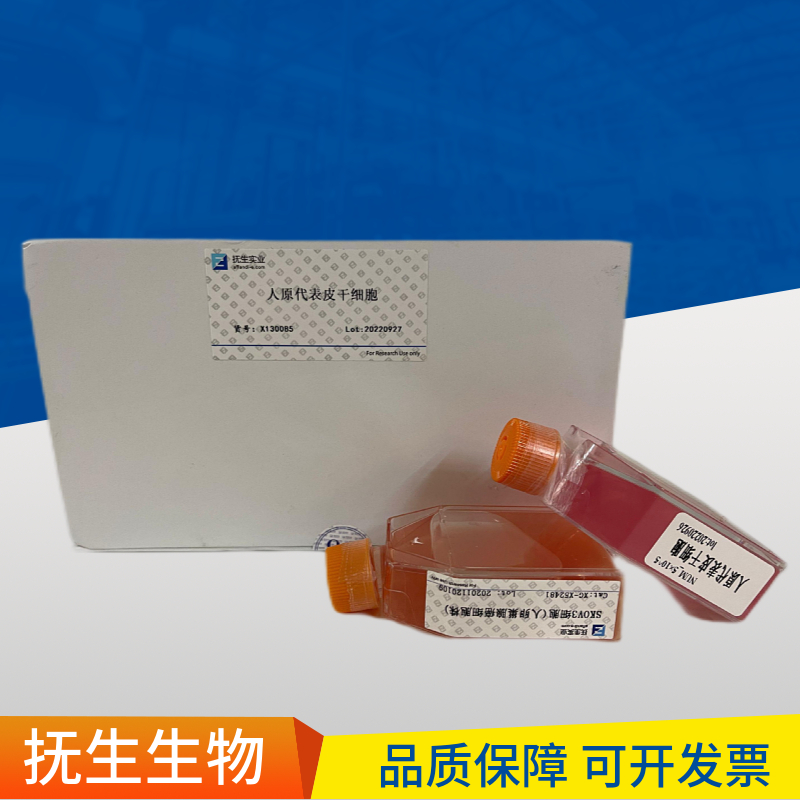 SK-LU-1人低分化肺腺癌细胞,SKLU1:SK-LU-1