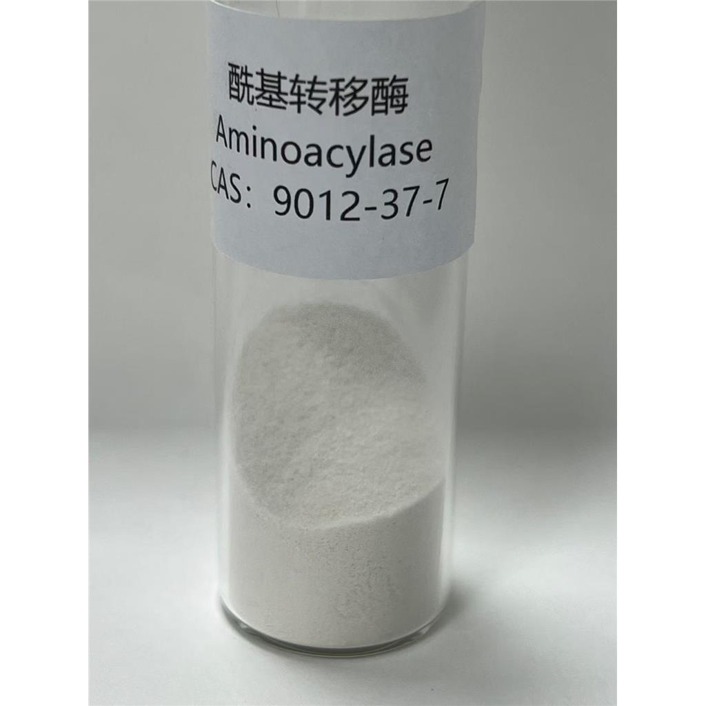酰基转移酶,Aminoacylase