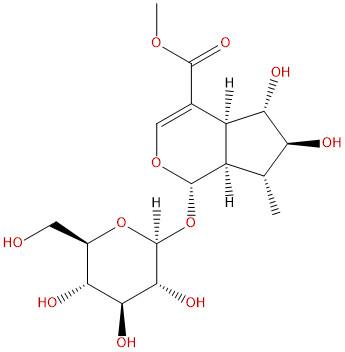 6β-羟基-7-表-马钱子苷,6β-hydroxyl-7-epi-loganin