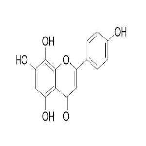 8-羟基芹菜素,8-Hydroxyapigenin