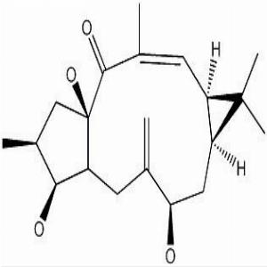 7-羟基千金子二萜醇,7β-Hydroxylathyrol