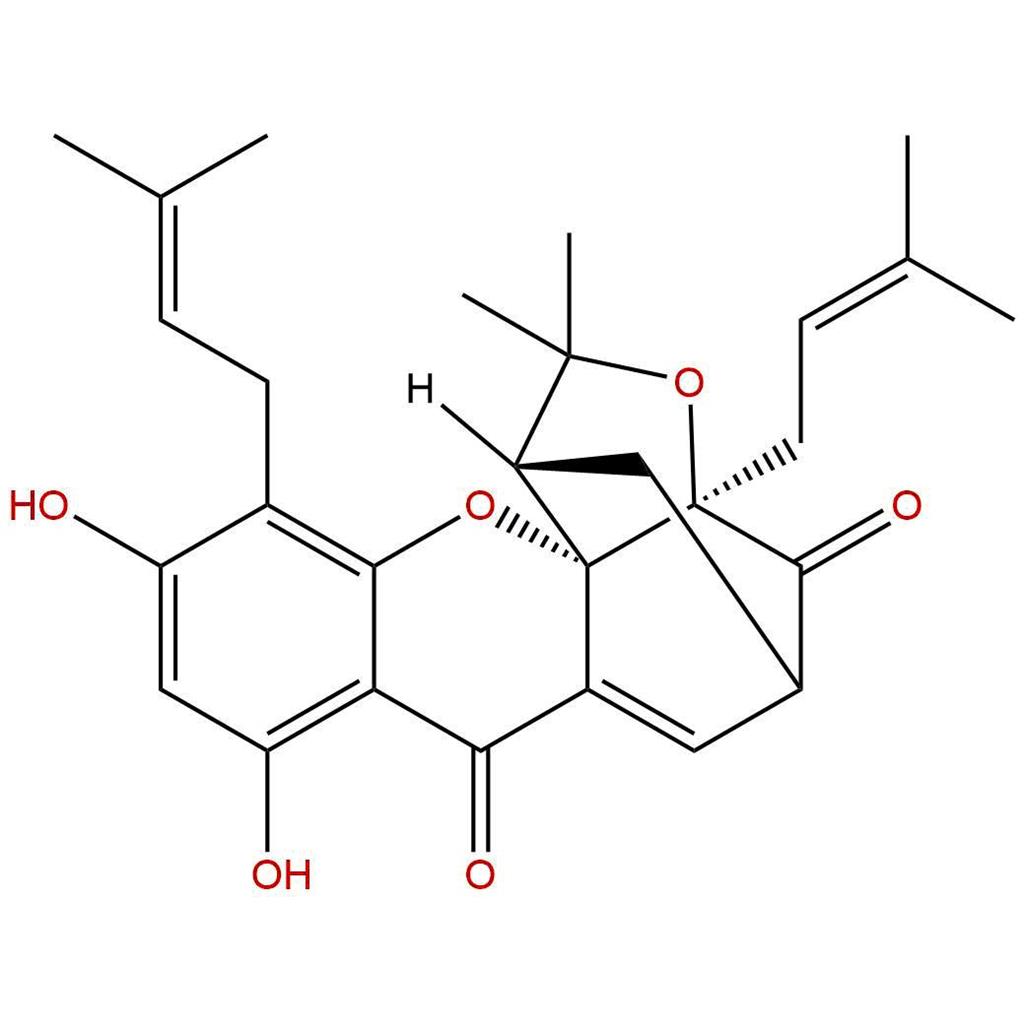 Forbesione,Forbesione