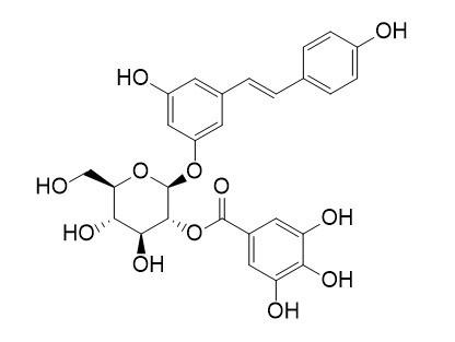 白藜芦醇-4'-O-β-D-(6''-O-没食子酰)葡萄糖苷,Resveratrol 4'-(6''-galloylglucoside)