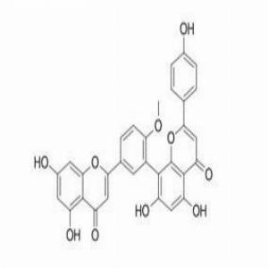 白果双黄酮,Bilobetin