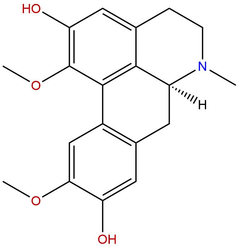 波尔定碱,Boldine
