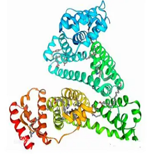 白藜芦醇-牛血清白蛋白偶联物,Resveratrol-BSA Conjugate