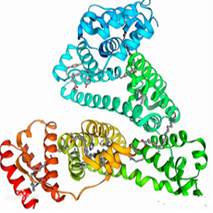 姜黄素-牛血清白蛋白偶联物,Curcumin-BSA Conjugate