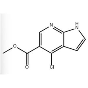4-氯-1H-吡咯并[2,3-b]吡啶-5-羧酸甲酯