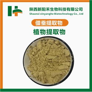 僵蚕提取物 白僵蚕提取物 僵蚕粉