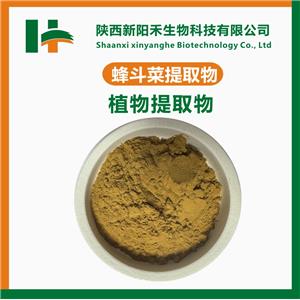蜂斗菜提取物,Petasites hybridus extract