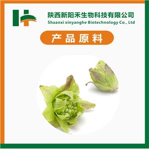 蜂斗菜提取物,Petasites hybridus extract